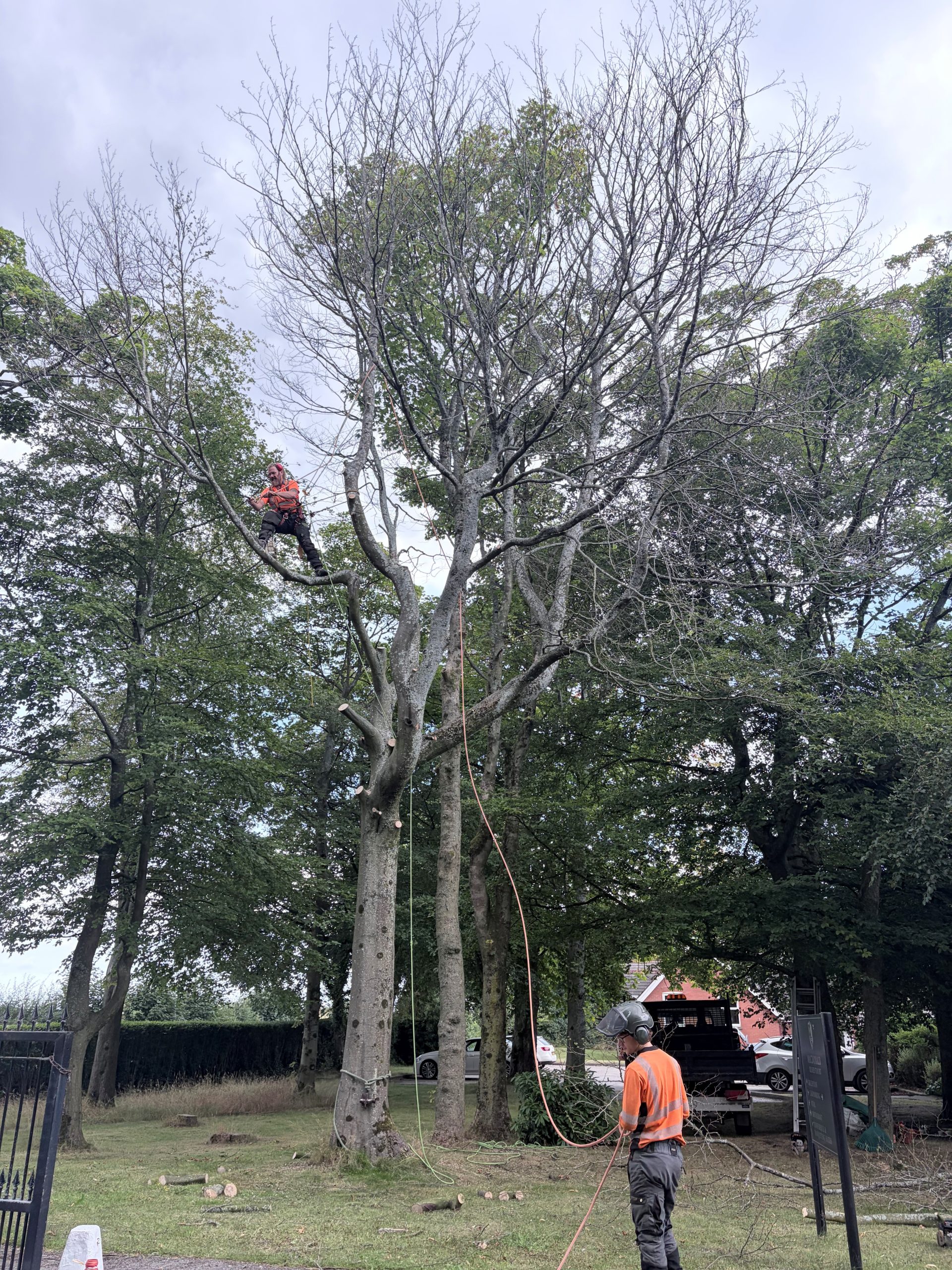 Arb 1 Scaled